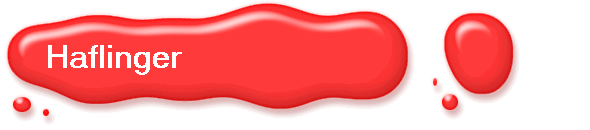 Haflinger