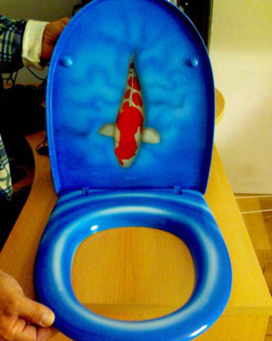 Toilettendeckel- Koi